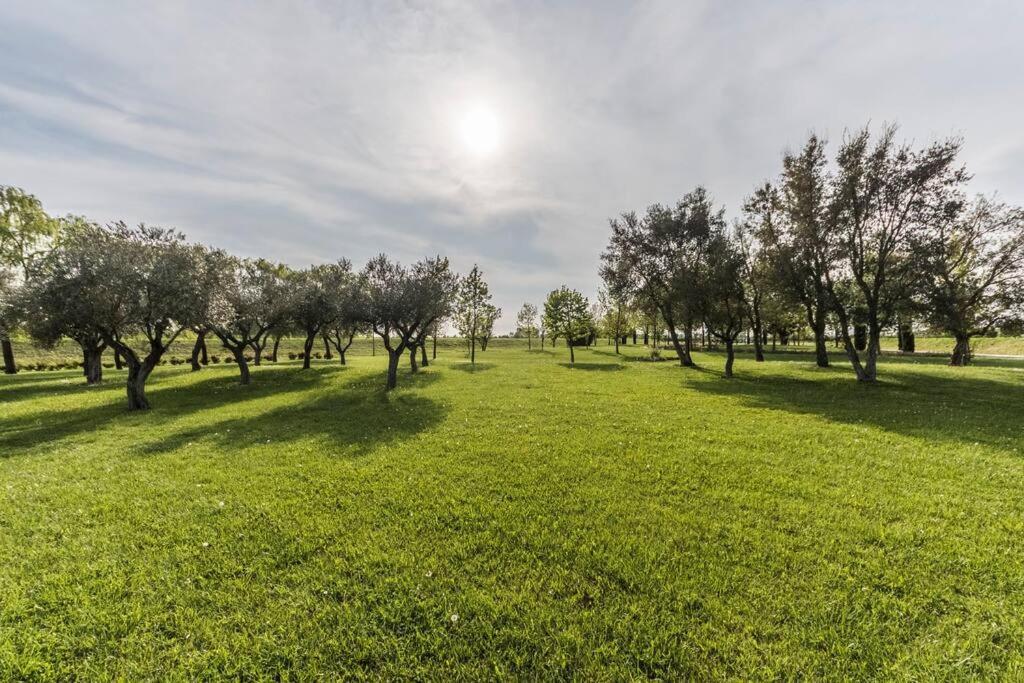 Relais Ca Tron Villa Kültér fotó